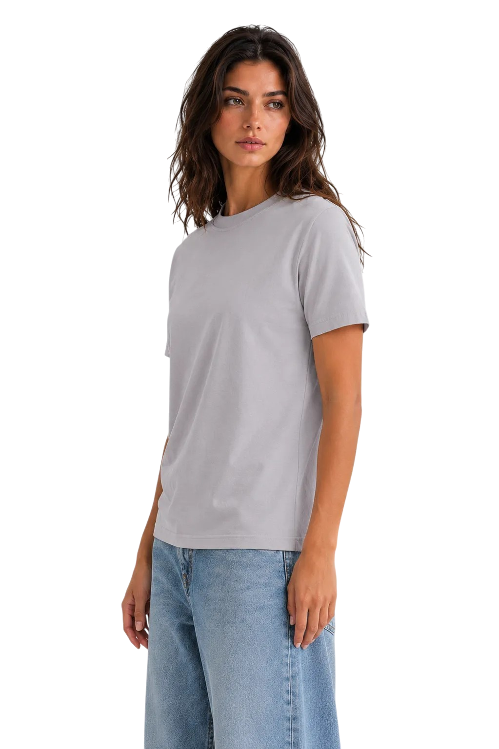 Regular Fit T-shirt